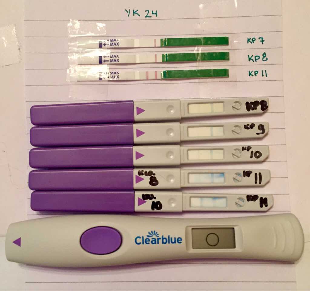 ImageUploadedByVau Foorumi1453625141.206614.jpg