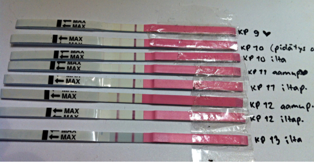 ImageUploadedByVau Foorumi1453886113.663202.jpg