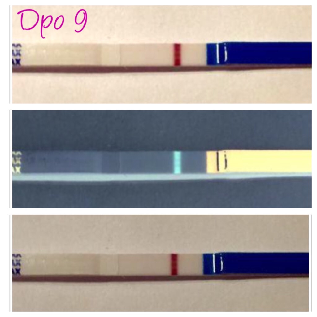 ImageUploadedByVau Foorumi1454510953.287771.jpg