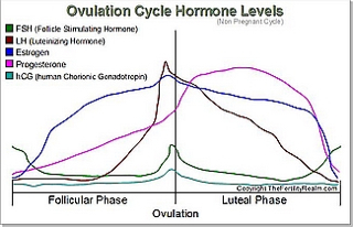 ImageUploadedByVau Foorumi1455537243.415642.jpg