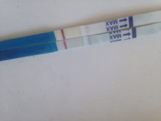 ImageUploadedByVau Foorumi1455612355.627694.jpg