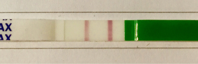 ImageUploadedByVau Foorumi1456064690.263022.jpg