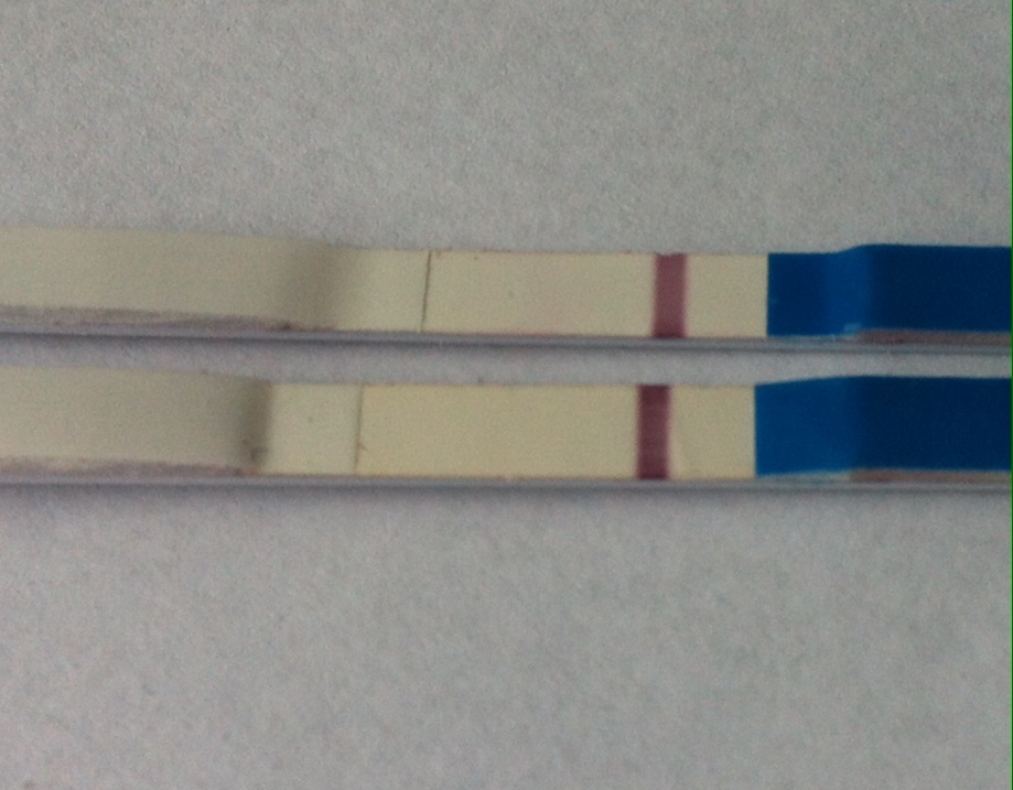 ImageUploadedByVau Foorumi1456318955.906077.jpg