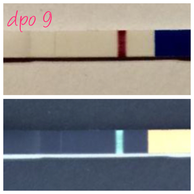 ImageUploadedByVau Foorumi1456897332.398558.jpg