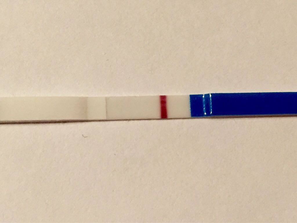 ImageUploadedByVau Foorumi1456982149.461800.jpg