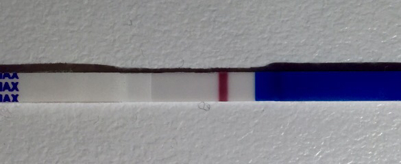 ImageUploadedByVau Foorumi1457065275.804690.jpg