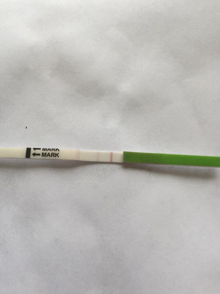 ImageUploadedByVau Foorumi1457365131.601615.jpg