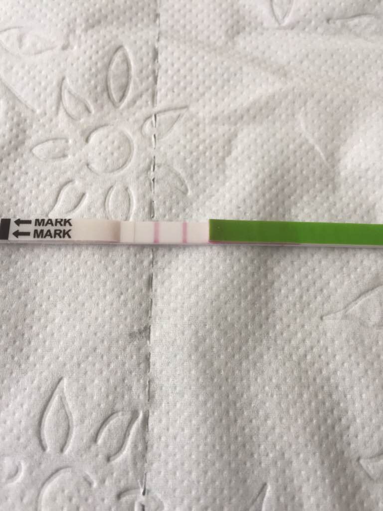 ImageUploadedByVau Foorumi1457446592.537020.jpg