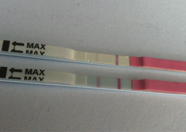 ImageUploadedByVau Foorumi1457513745.456556.jpg