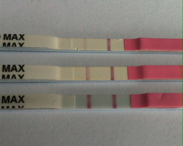 ImageUploadedByVau Foorumi1457593862.090819.jpg