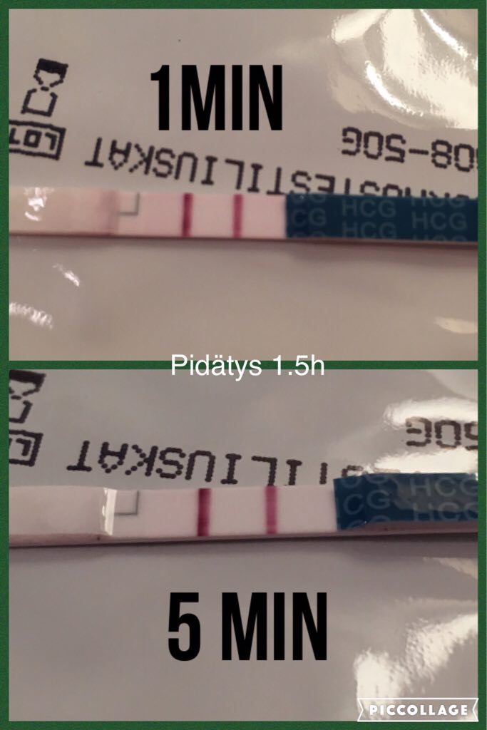 ImageUploadedByVau Foorumi1458058512.059053.jpg