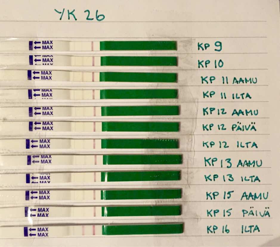 ImageUploadedByVau Foorumi1458928130.664382.jpg