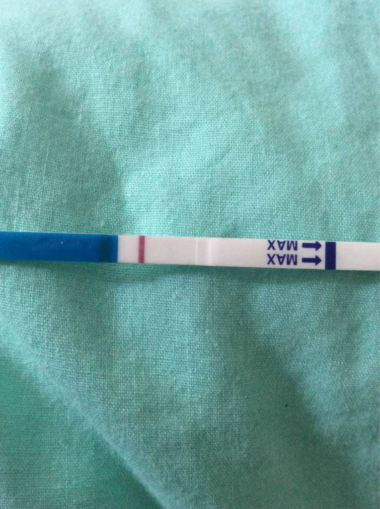 ImageUploadedByVau Foorumi1459508902.045253.jpg