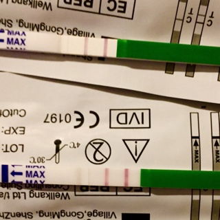 ImageUploadedByVau Foorumi1461613646.766446.jpg