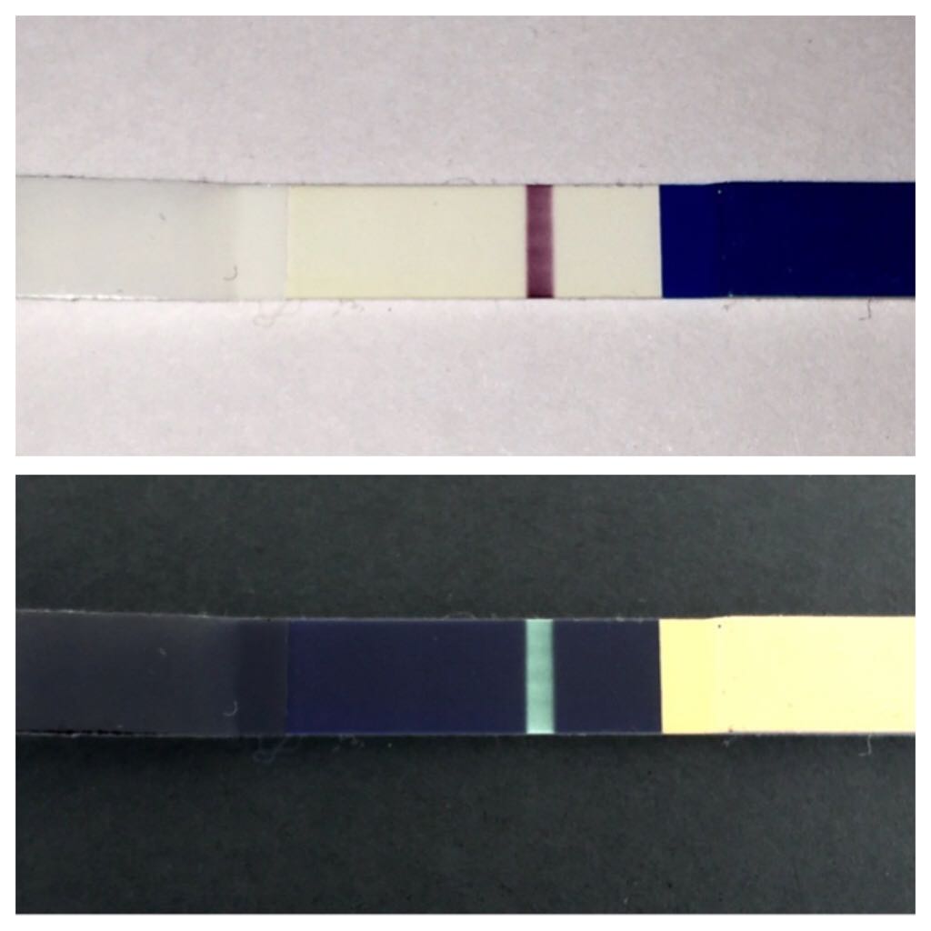 ImageUploadedByVau Foorumi1462693905.007597.jpg