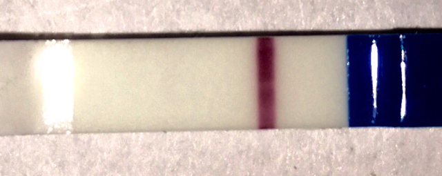 ImageUploadedByVau Foorumi1462728246.647640.jpg