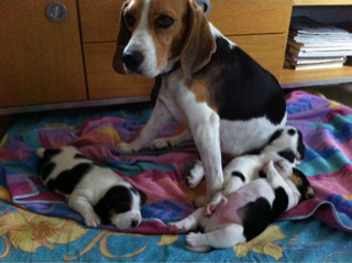 ImageUploadedByVau Foorumi1466652116.722356.jpg