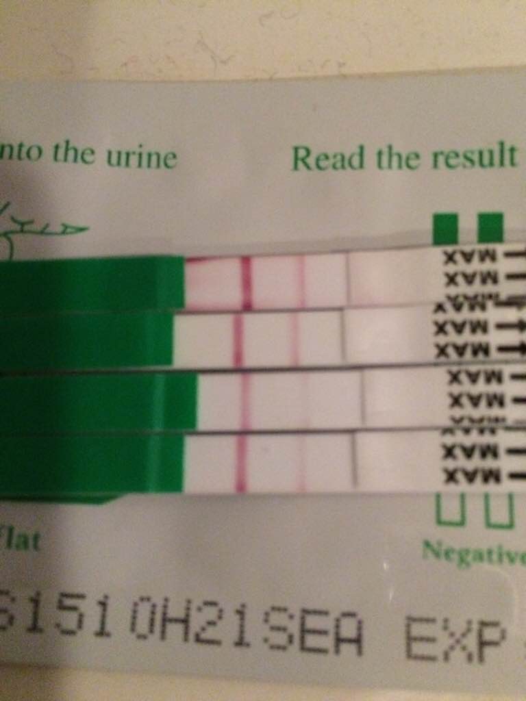 ImageUploadedByVau Foorumi1471019440.667789.jpg