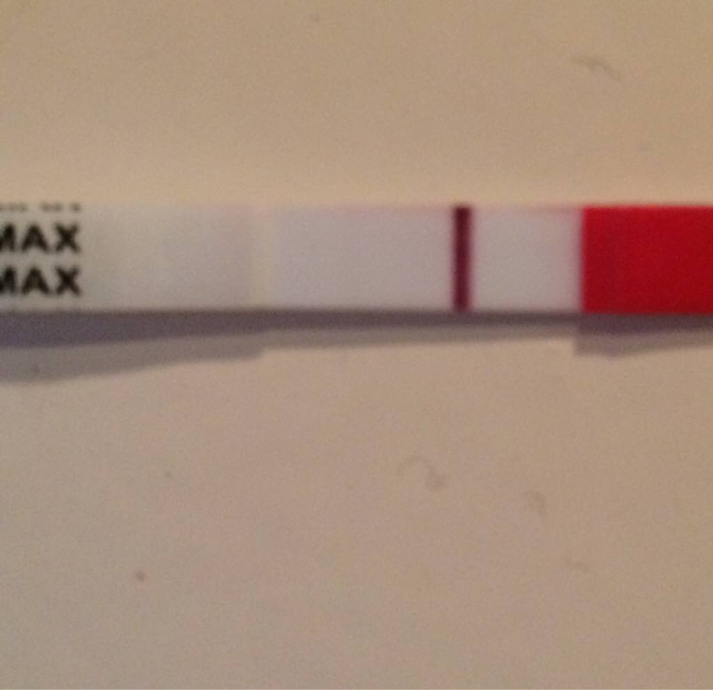 ImageUploadedByVau Foorumi1471969817.262368.jpg