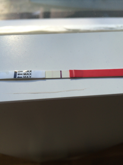 ImageUploadedByVau Foorumi1472043231.875180.jpg