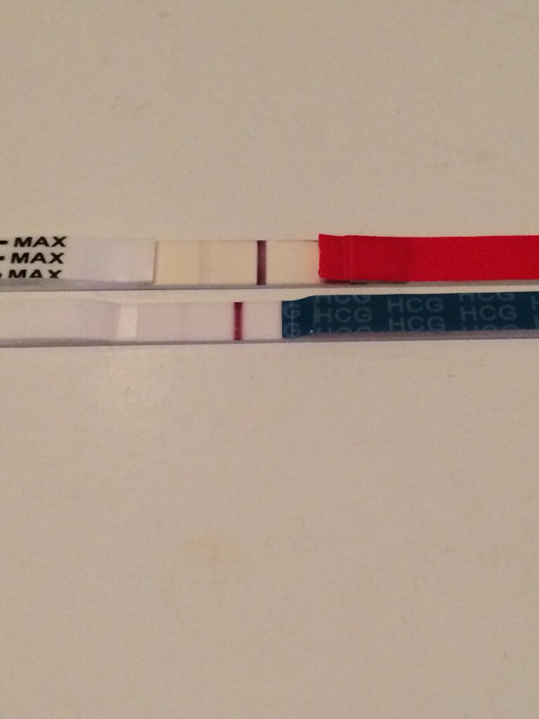 ImageUploadedByVau Foorumi1472058239.462998.jpg