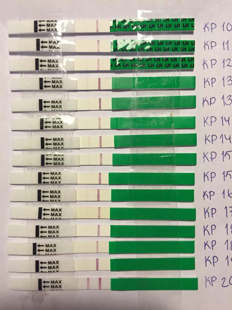 ImageUploadedByVau Foorumi1472096075.152544.jpg