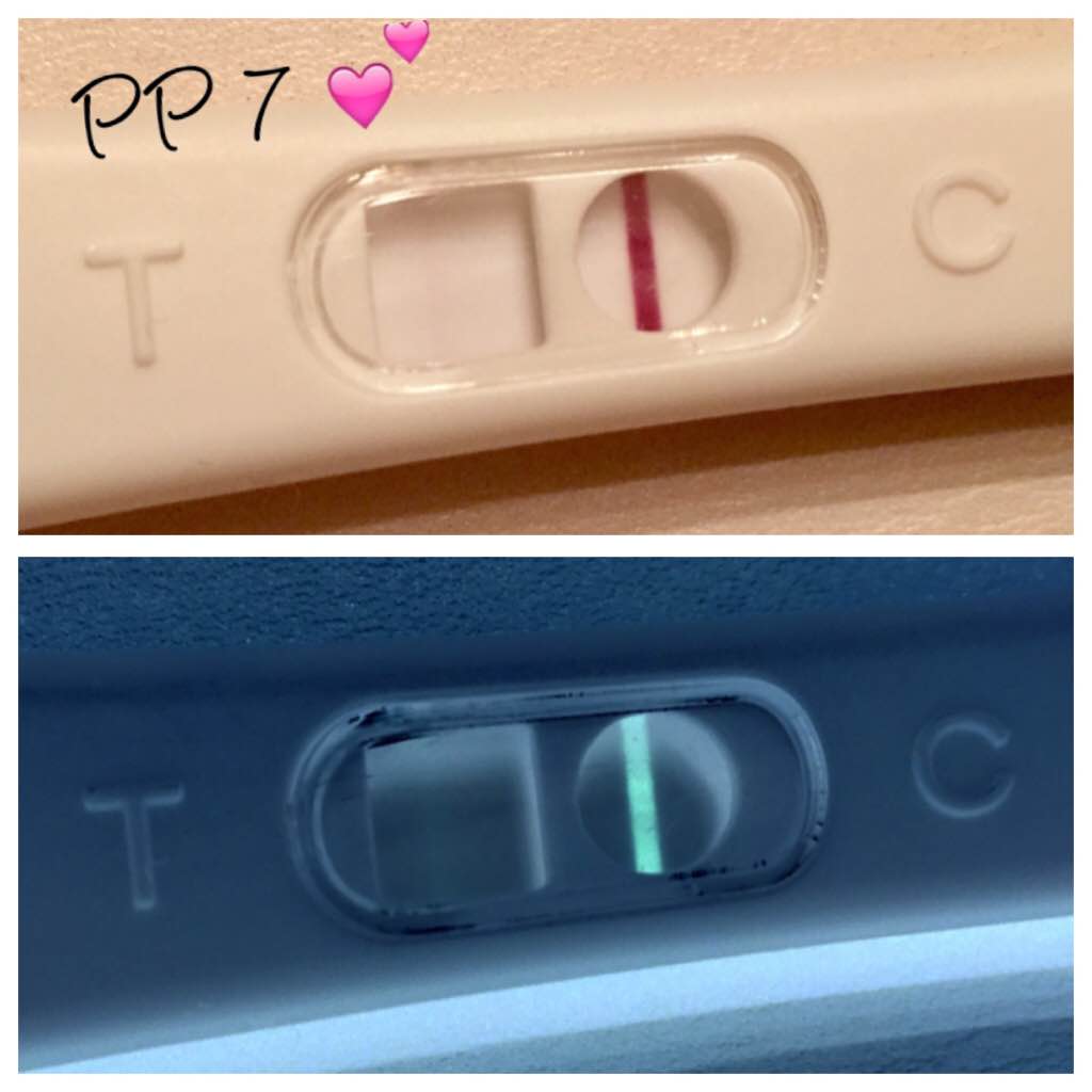 ImageUploadedByVau Foorumi1475726763.962263.jpg