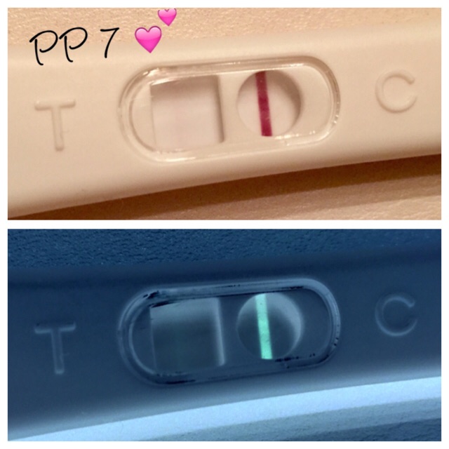 ImageUploadedByVau Foorumi1475727165.943816.jpg