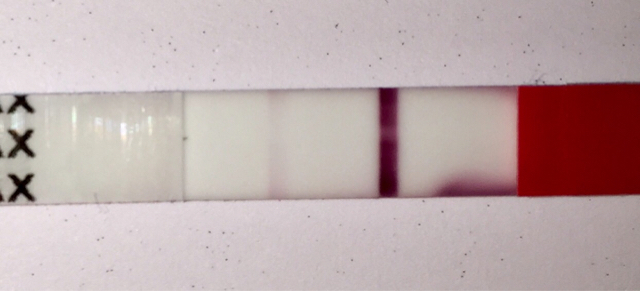 ImageUploadedByVau Foorumi1476032661.488079.jpg