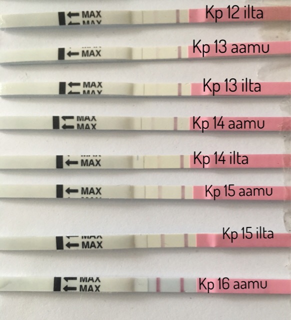 ImageUploadedByVau Foorumi1476092813.415062.jpg