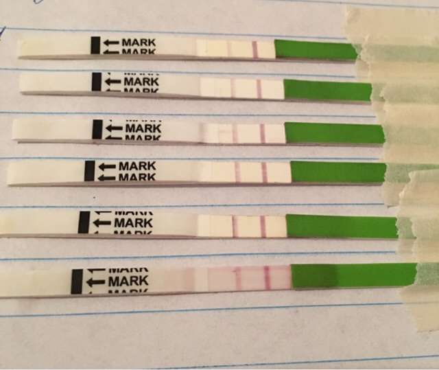 ImageUploadedByVau Foorumi1477832575.060234.jpg