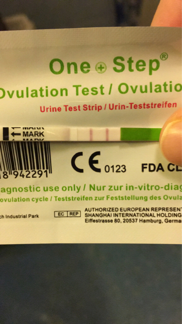 ImageUploadedByVau Foorumi1477832620.503336.jpg