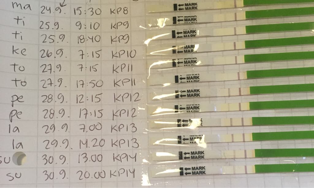 ImageUploadedByVau Foorumi1477993773.423670.jpg