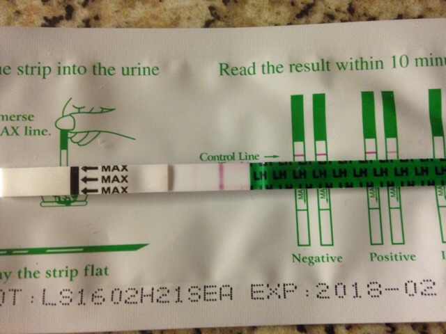 ImageUploadedByVau Foorumi1478531230.354240.jpg