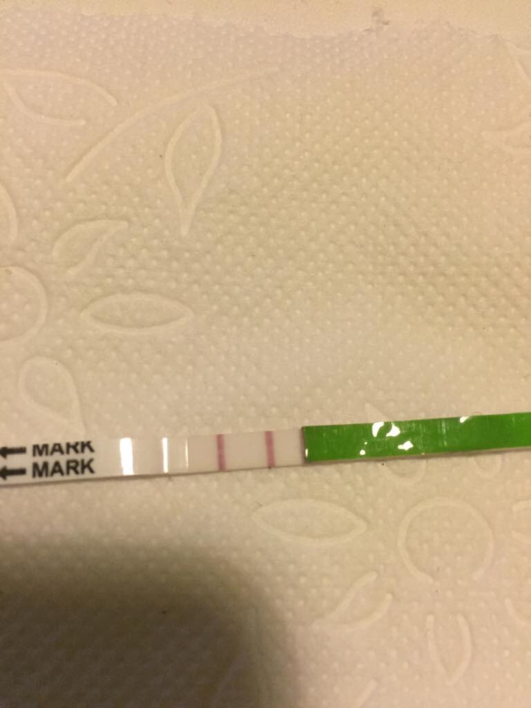 ImageUploadedByVau Foorumi1480522643.944715.jpg