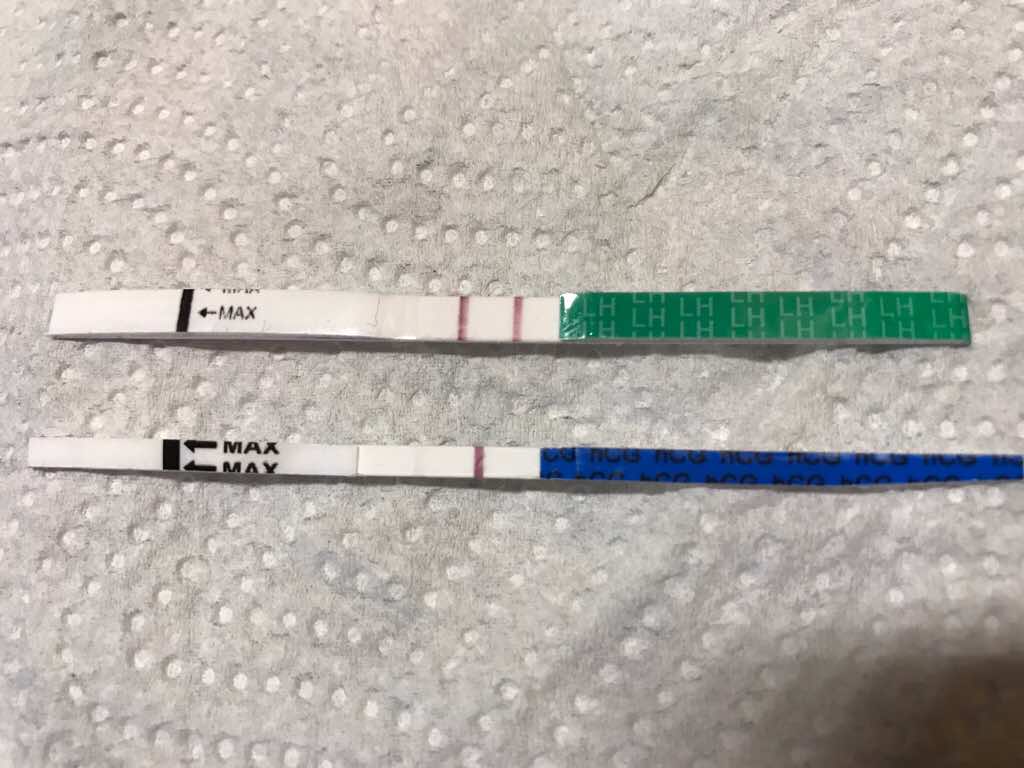 ImageUploadedByVau Foorumi1481018394.234651.jpg