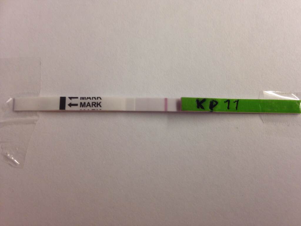 ImageUploadedByVau Foorumi1481271807.866477.jpg