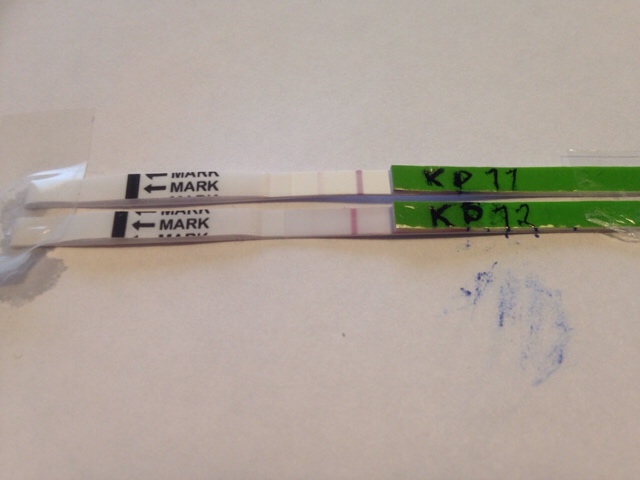 ImageUploadedByVau Foorumi1481376957.592080.jpg