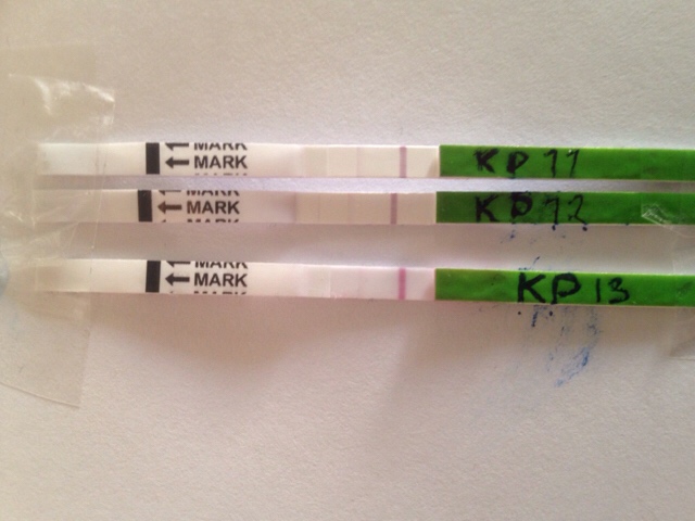 ImageUploadedByVau Foorumi1481445148.920244.jpg