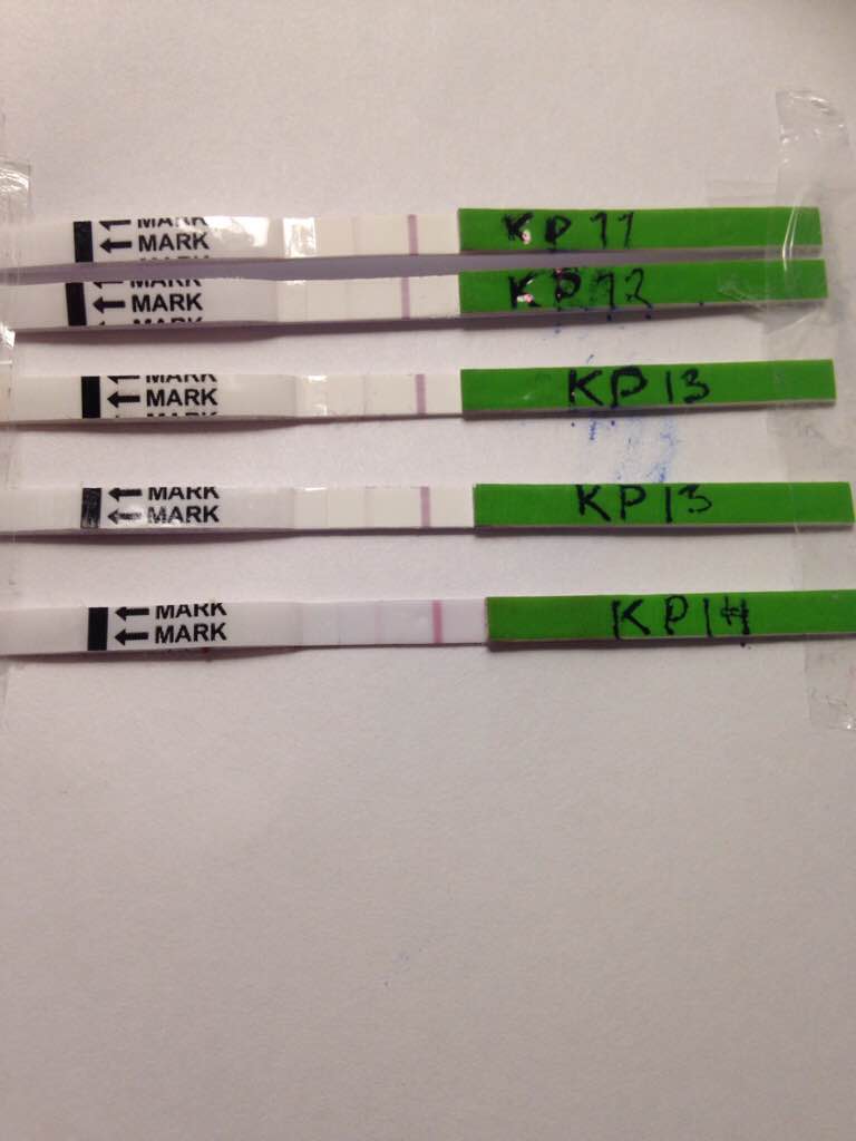 ImageUploadedByVau Foorumi1481565239.258337.jpg