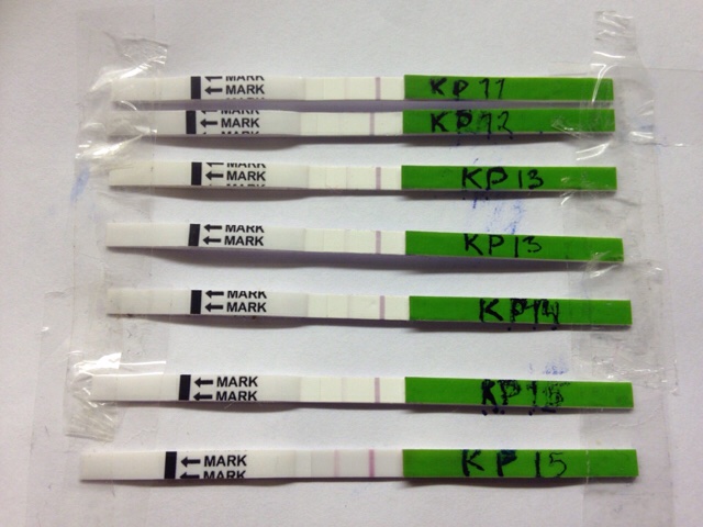 ImageUploadedByVau Foorumi1481654278.677058.jpg