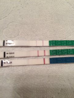 ImageUploadedByVau Foorumi1485590461.088926.jpg