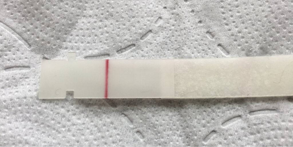 ImageUploadedByVau Foorumi1485940865.612984.jpg