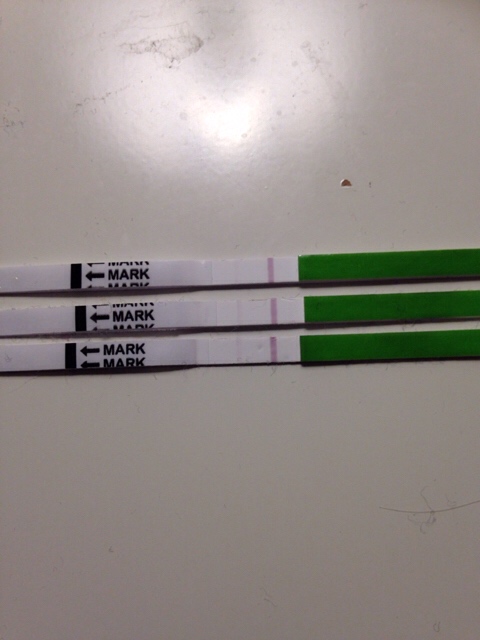 ImageUploadedByVau Foorumi1486239301.561681.jpg