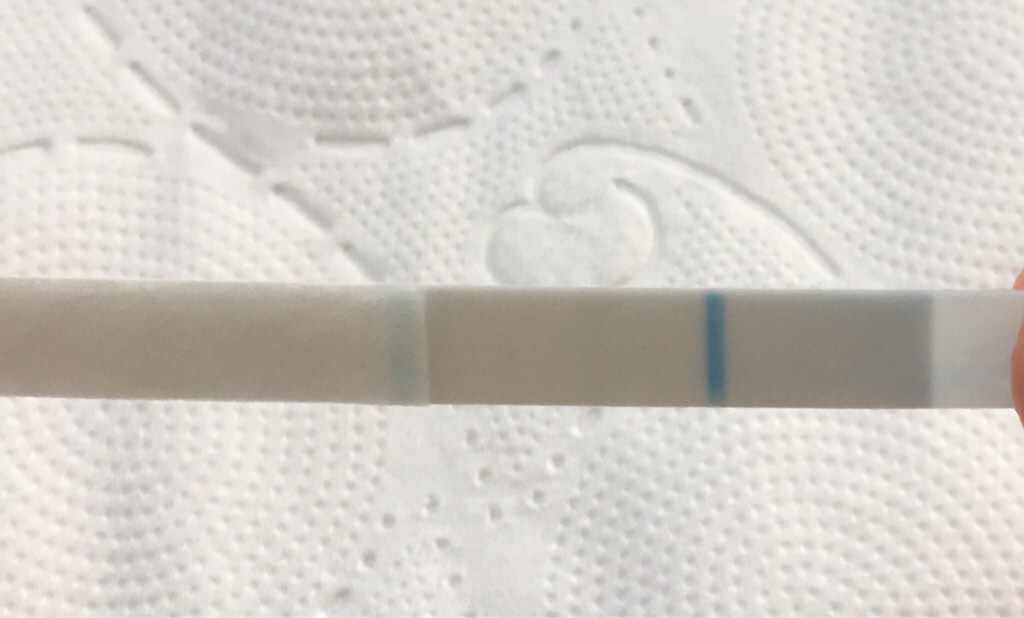 ImageUploadedByVau Foorumi1486381962.139020.jpg