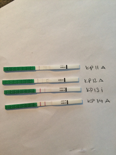 ImageUploadedByVau Foorumi1487494039.659845.jpg