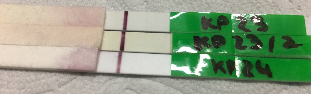 ImageUploadedByVau Foorumi1488432254.804890.jpg