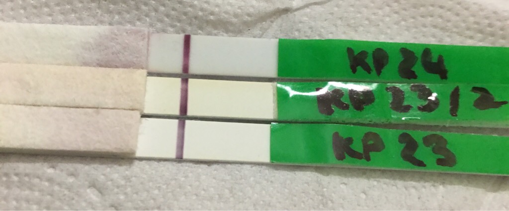 ImageUploadedByVau Foorumi1488432265.951888.jpg