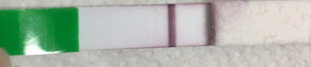 ImageUploadedByVau Foorumi1488565385.955368.jpg