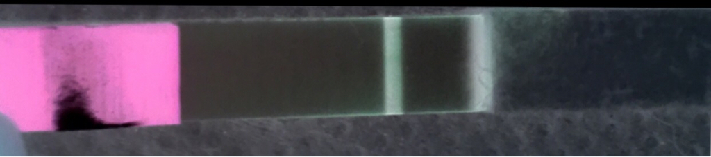 ImageUploadedByVau Foorumi1488565939.179327.jpg